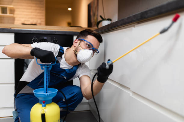 Best Flea Control Services  in Des Moines, IA