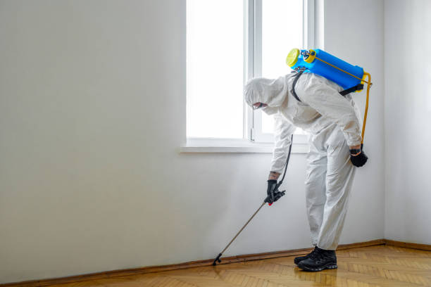  Des Moines, IA Pest Control Pros