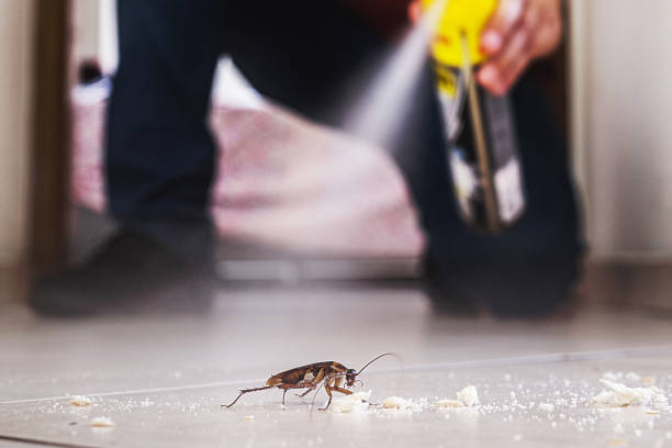 Best Pest Control Near Me in Des Moines, IA